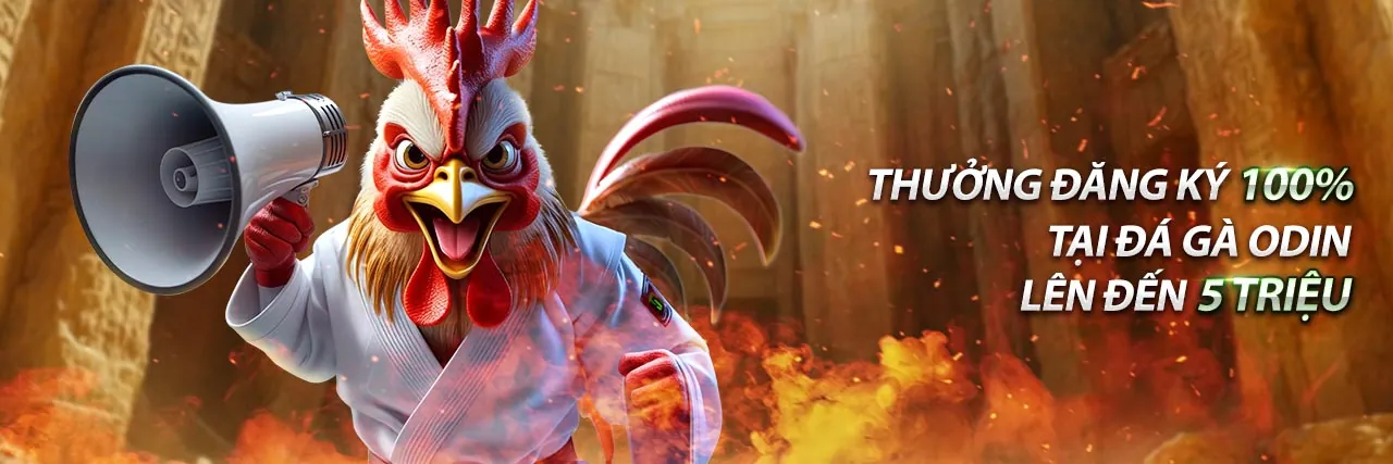 Hình ảnh đại diện cho Chính sách Cookie và bảo mật dữ liệu của Kubet Link Vào